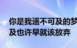 你是我遥不可及的梦什么歌 你是我的遥不可及也许早就该放弃