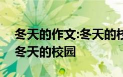 冬天的作文:冬天的校园怎么写 冬天的作文：冬天的校园