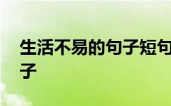 生活不易的句子短句感叹 感悟生活不易的句子