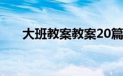 大班教案教案20篇 大班教案大班教案