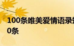 100条唯美爱情语录短句 爱情唯美句子摘录80条