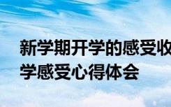 新学期开学的感受收获和打算 有关新学期开学感受心得体会