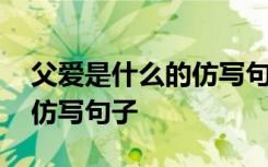 父爱是什么的仿写句子一年级 父爱是什么的仿写句子