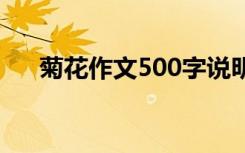 菊花作文500字说明文 菊花作文500字