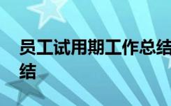 员工试用期工作总结报告 员工试用期工作总结