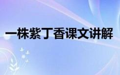 一株紫丁香课文讲解 《一株紫丁香》练习题