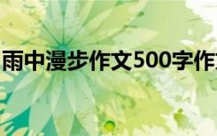 雨中漫步作文500字作文 雨中漫步作文800字