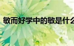 敏而好学中的敏是什么 敏而好学里敏的含义