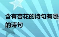 含有杏花的诗句有哪些?三年级下册 含有杏花的诗句