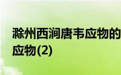 滁州西涧唐韦应物的诗意是什么 滁洲西涧 韦应物(2)