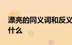 漂亮的同义词和反义词 漂亮的同义词介绍有什么