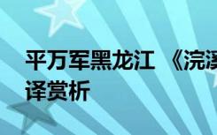 平万军黑龙江 《浣溪沙山下兰芽短浸溪》翻译赏析