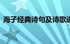 海子经典诗句及诗歌选自哪里 海子经典诗句