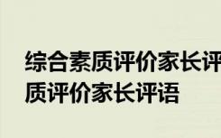 综合素质评价家长评语与陈述怎么写 综合素质评价家长评语