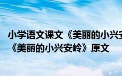 小学语文课文《美丽的小兴安岭》原文及翻译 小学语文课文《美丽的小兴安岭》原文