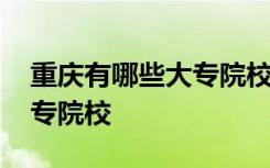 重庆有哪些大专院校是公办的 重庆有哪些大专院校