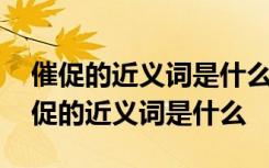 催促的近义词是什么疏忽的近义词是什么 催促的近义词是什么