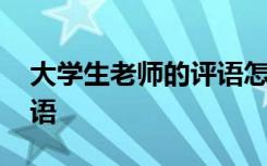 大学生老师的评语怎么写 大学生对老师的评语