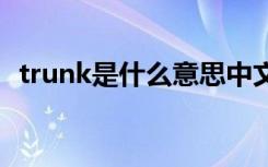 trunk是什么意思中文 trunk的意思是什么