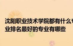 沈阳职业技术学院都有什么专业怎么样 沈阳职业技术学院专业排名最好的专业有哪些