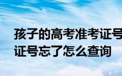 孩子的高考准考证号忘了怎么查询 高考准考证号忘了怎么查询