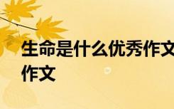 生命是什么优秀作文600字 生命是什么优秀作文