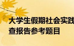 大学生假期社会实践调查 大学生假期社会调查报告参考题目