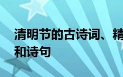 清明节的古诗词、精美短文 清明节的古诗句和诗句