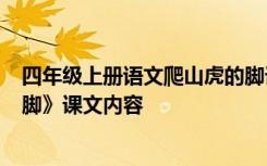 四年级上册语文爬山虎的脚课文讲解 4年级上册《爬山虎的脚》课文内容