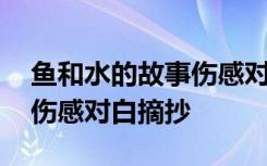 鱼和水的故事伤感对白全部 鱼和水的故事的伤感对白摘抄