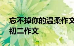 忘不掉你的温柔作文500字 忘不了你的温柔初二作文