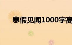 寒假见闻1000字高中 高中生寒假见闻