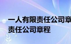 一人有限责任公司章程由股东制定 一人有限责任公司章程