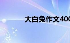 大白兔作文400字 大白兔作文