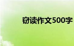 窃读作文500字 我的窃读记作文