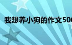 我想养小狗的作文500字 小狗的作文500字