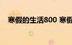 寒假的生活800 寒假生活作文800字以上