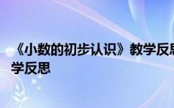 《小数的初步认识》教学反思与评价 《小数的初步认识》教学反思