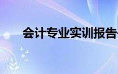 会计专业实训报告书 会计系实训报告