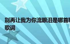 别再让我为你流眼泪是哪首歌的歌词 别再让我为你受折磨的歌词