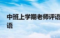 中班上学期老师评语简短 中班上学期老师评语