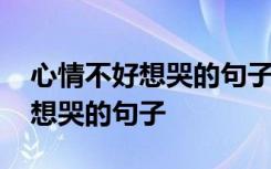 心情不好想哭的句子发朋友圈简短 心情不好想哭的句子