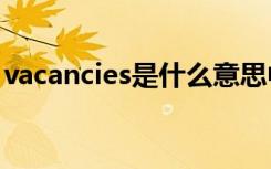 vacancies是什么意思中文 vacancy什么意思