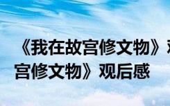 《我在故宫修文物》观后感(100字) 《我在故宫修文物》观后感