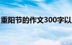 重阳节的作文300字以上 重阳节的作文300字