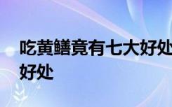 吃黄鳝竟有七大好处是什么 吃黄鳝竟有七大好处