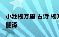 小池杨万里 古诗 杨万里《小池》古诗原文及翻译