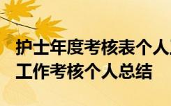 护士年度考核表个人工作总结2021 护士年度工作考核个人总结