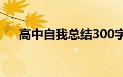 高中自我总结300字左右 高中自我总结