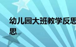 幼儿园大班教学反思500 幼儿园大班教学反思